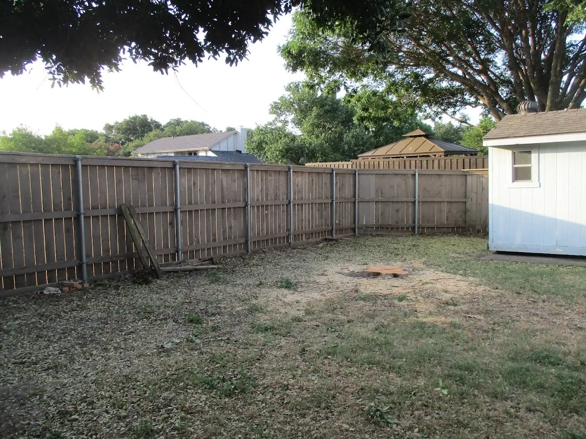 Cleared yard after professional tree removal in Curryville